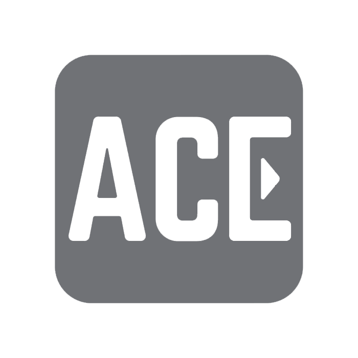 ACE Parking Logo Greyed