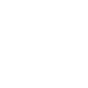 City of Dallas Logo